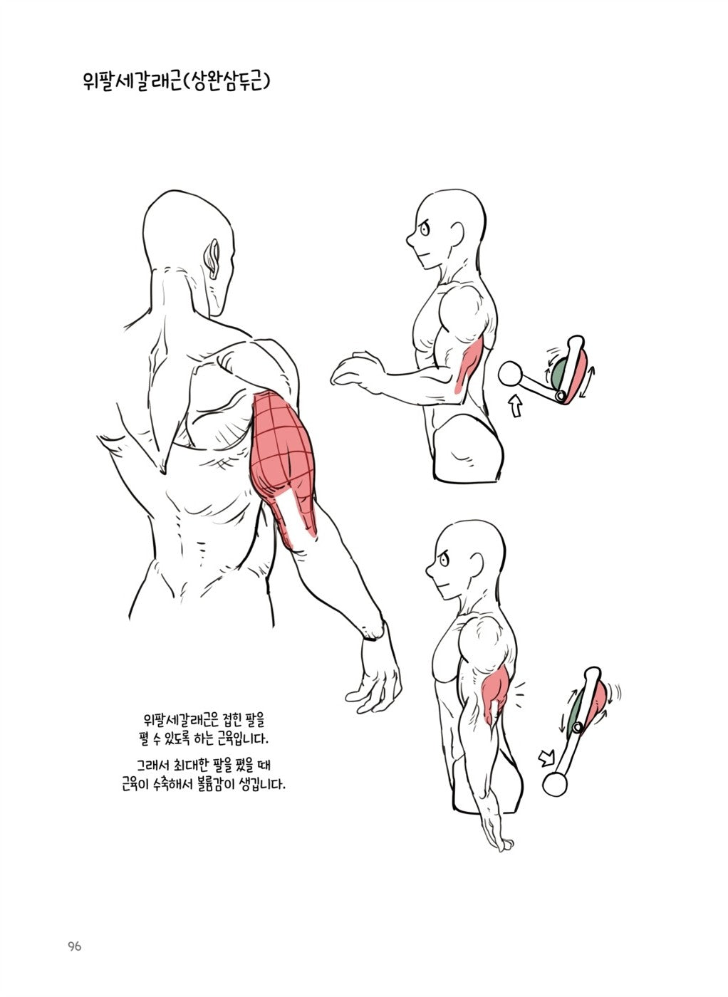 Dongho Kim's Character Drawing - Human Body Drawing Guide Korean