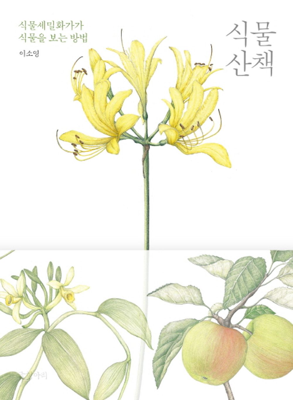 Walk With Plants-How Botanical Illustrator Sees Plants Korean Essay&Illustration