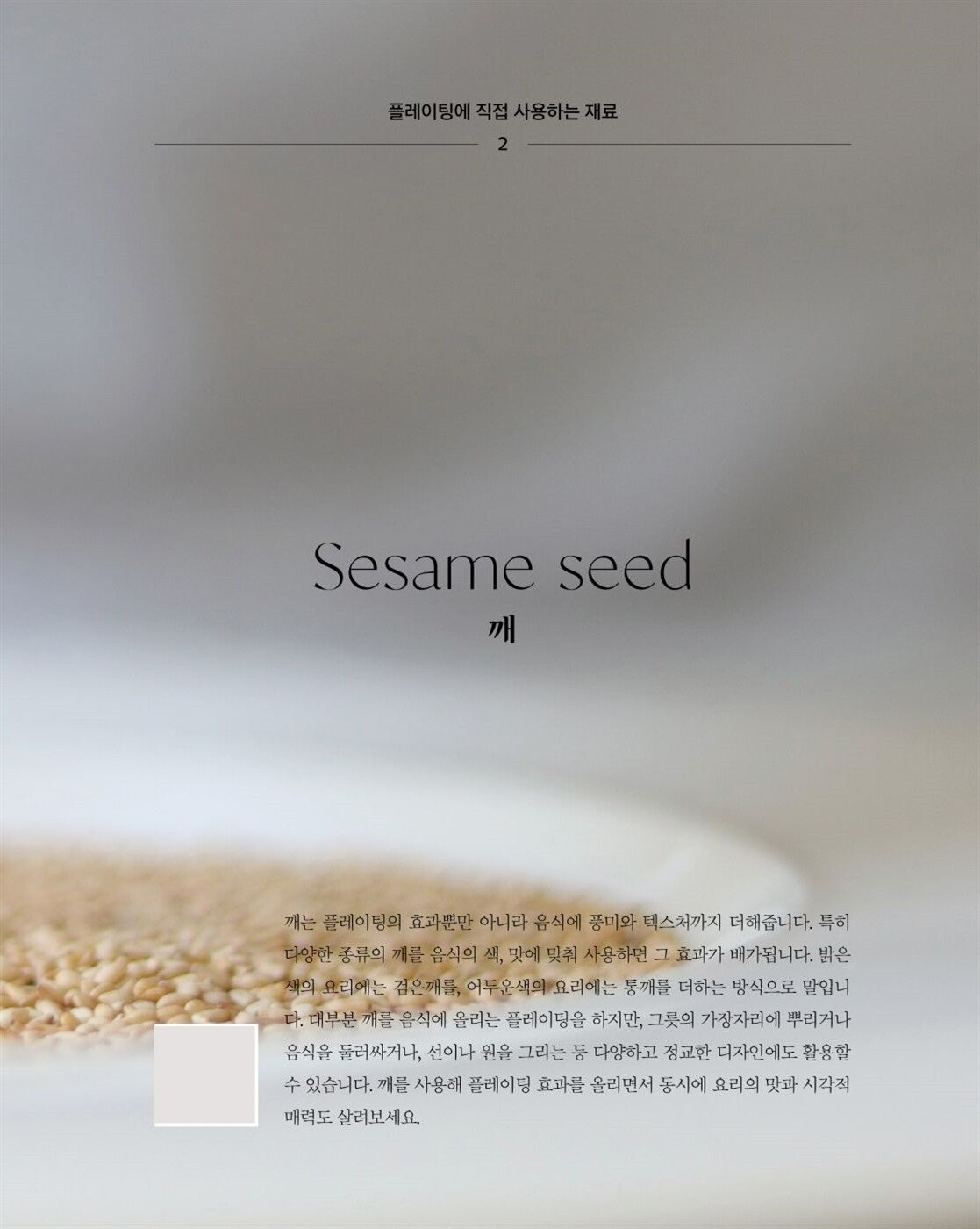 Plating Recipe - Korean Guide