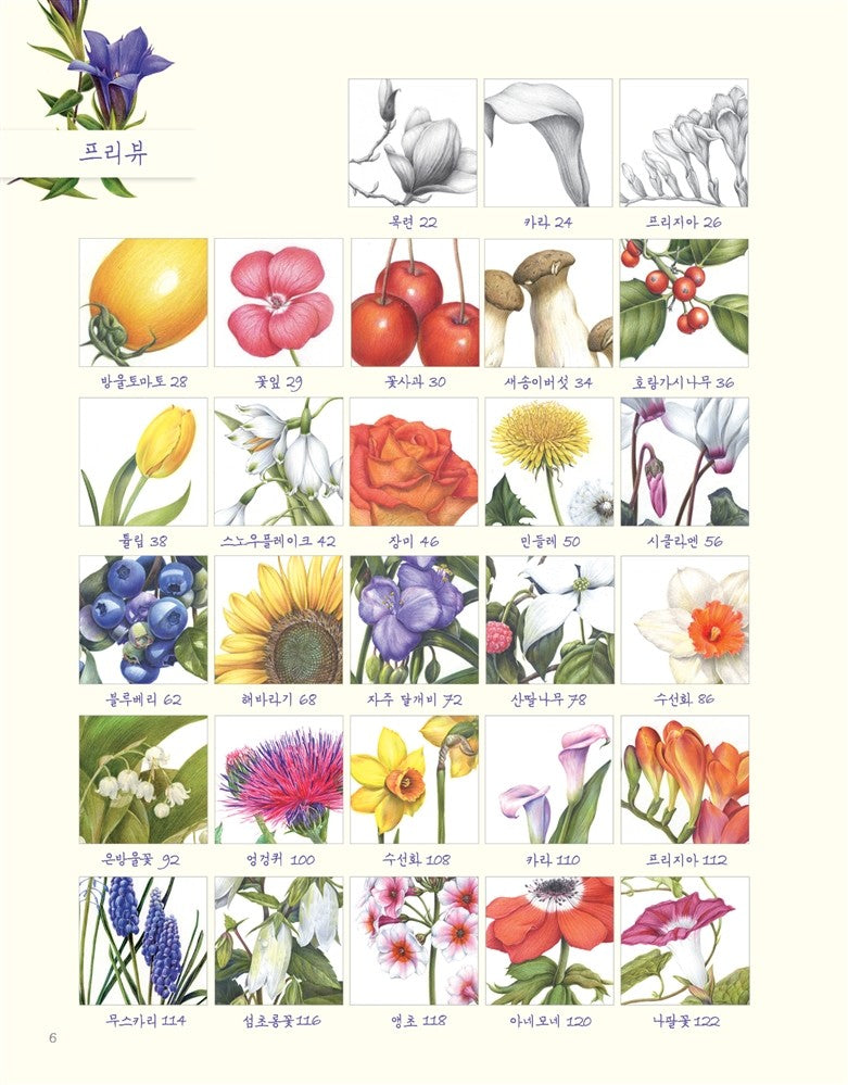 Botanical Art with Colored Pencils - Korean Drawing Guide