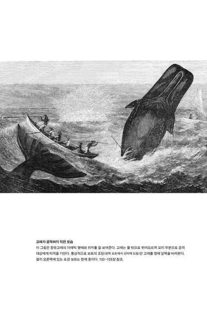 Moby Dick by Herman Melville / Korean
