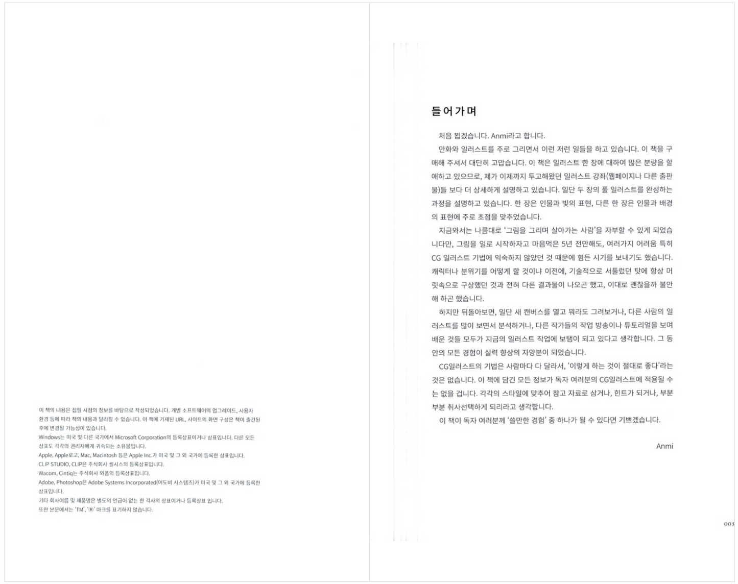 Anmi CG Illustration Technique (Korean Edition) [Paperback] Anym