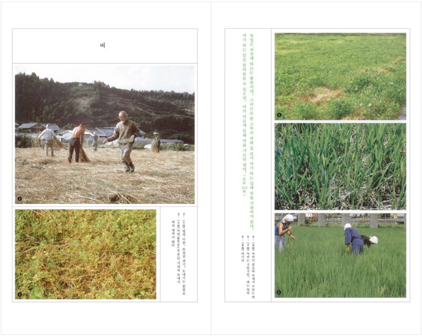 Natural farming (Korean Edition) [Paperback] Fukuoka Masanobu and Sunghyun Choi