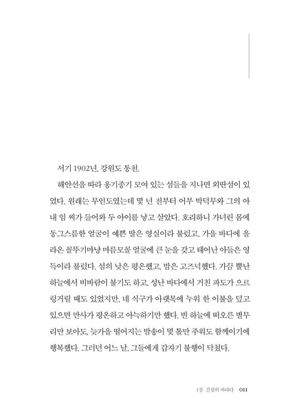 The Mermaid Hunt by Cha In-pyo, Korean, 인어 사냥 : 차인표 장편소설