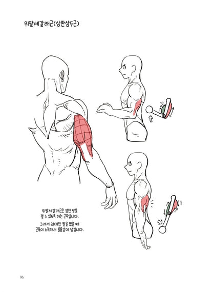 Dongho Kim's Character Drawing - Human Body Drawing Guide Korean