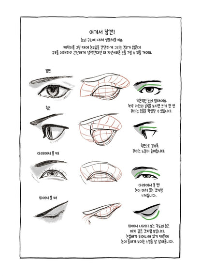Dongho Kim's Character Drawing - Human Body Drawing Guide Korean