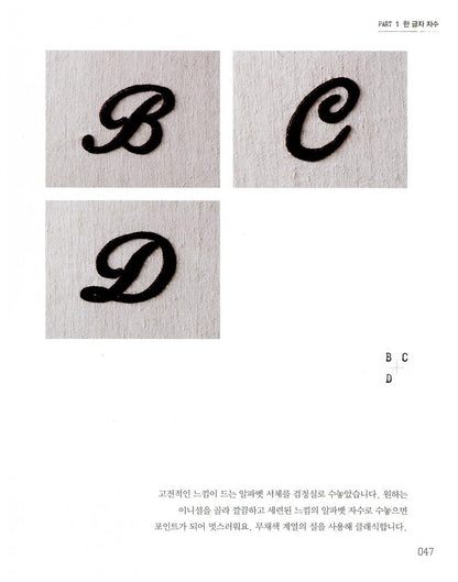 Initial embroidery (Korean Edition) [Paperback] Choi Mi-na