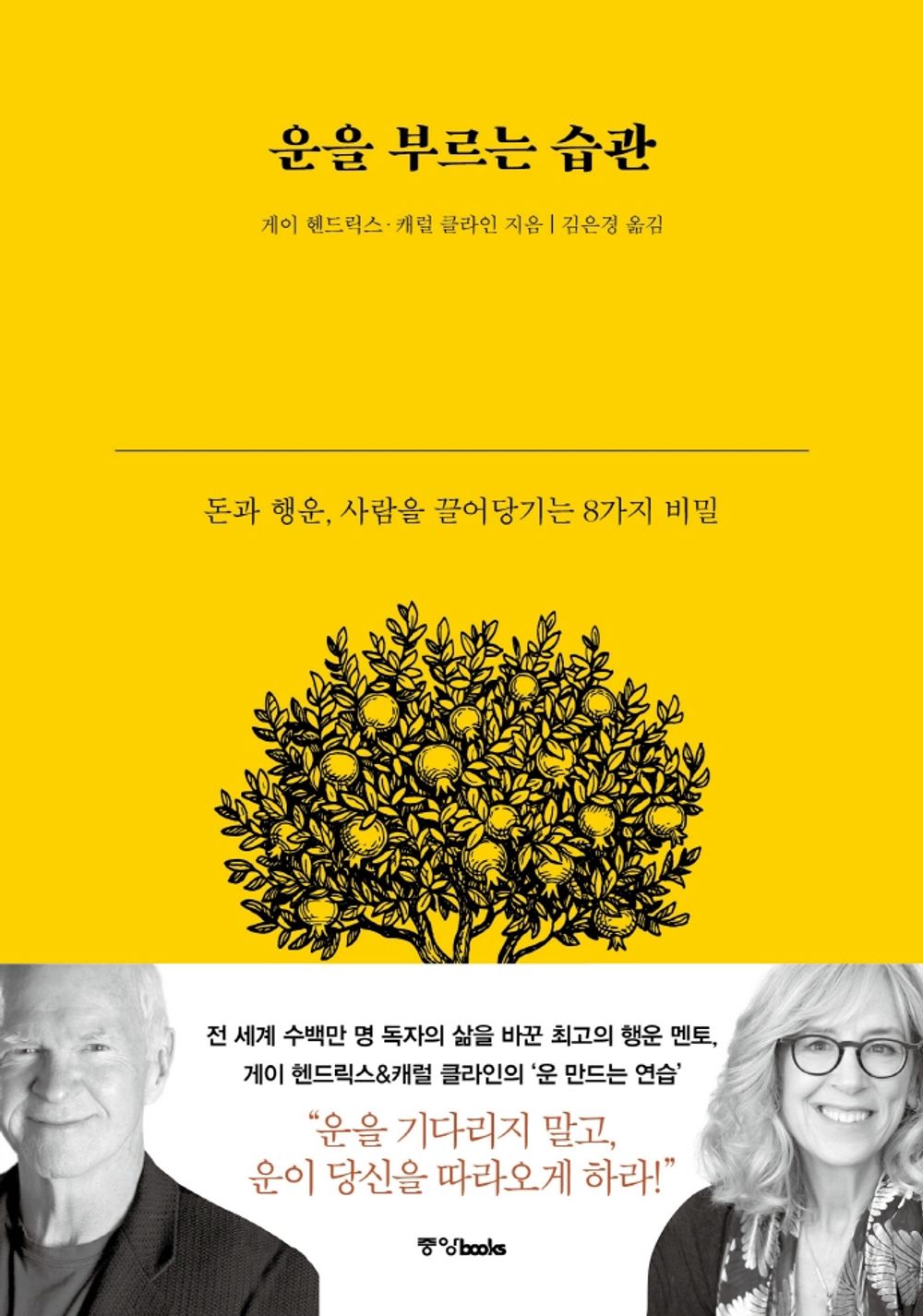 Korean book 운을 부르는 습관 돈과 행운, 사람을 끌어당기는 8가지 비밀 Conscious Luck [Unknown Binding] unknown author