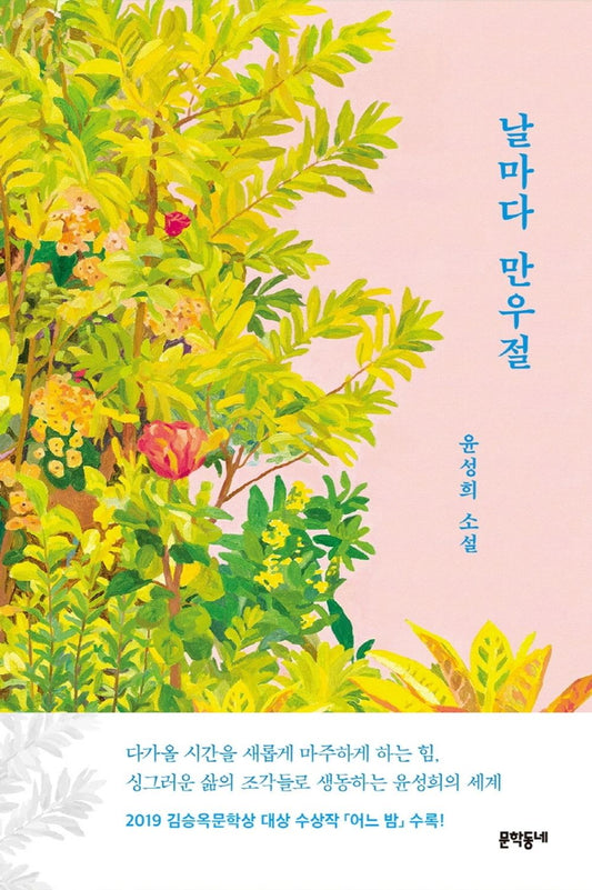 Korean Books, Korean Novel/날마다 만우절 – 윤성희/April Fool's Day Every day/2019 김승옥문학상 대상 수상작 「어느 밤」 수록/Shipping from Korea