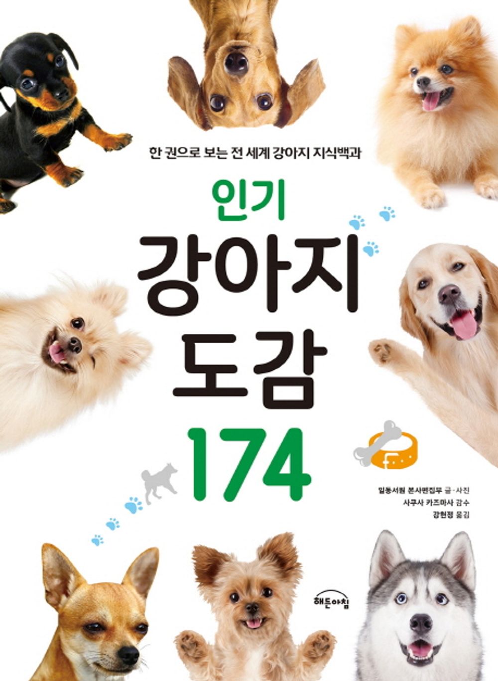 Popular dog illustrations 174 (Korean Edition) [Paperback] Kang Hyun Jeong and Sakusa Kazumasa