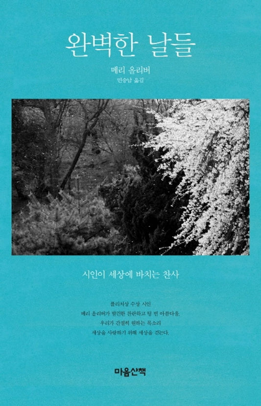 Long Life: Essays And Other Writings by Mary Oliver, Korean, 완벽한 날들, 메리 올리버