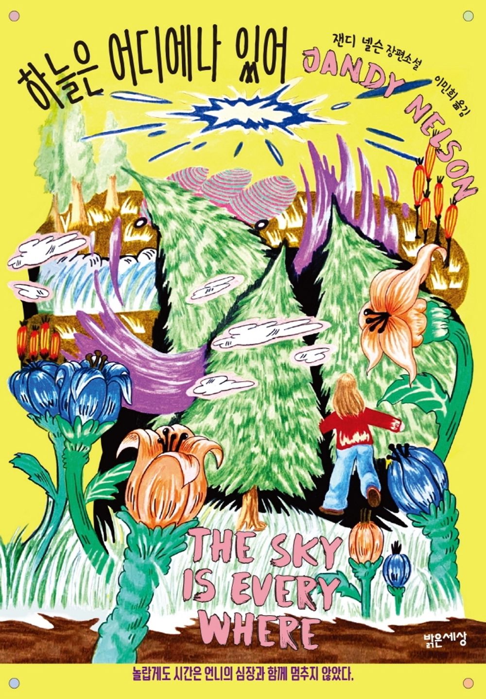 Korean Books, 청소년 소설/The Sky is Everywhere 하늘은 어디에나 있어 - 잰디 넬슨 (2010)/Film Production Completed on A24/Shipping from Korea