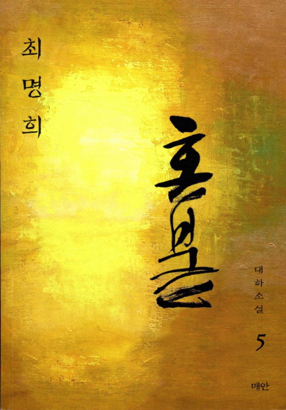 Hon. 5: Aso, a typical scenario: (Korean edition) [Paperback] 최명희