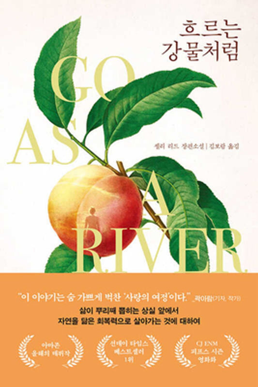 Go as a River (Korean Edition) [Paperback] Read, Shelley