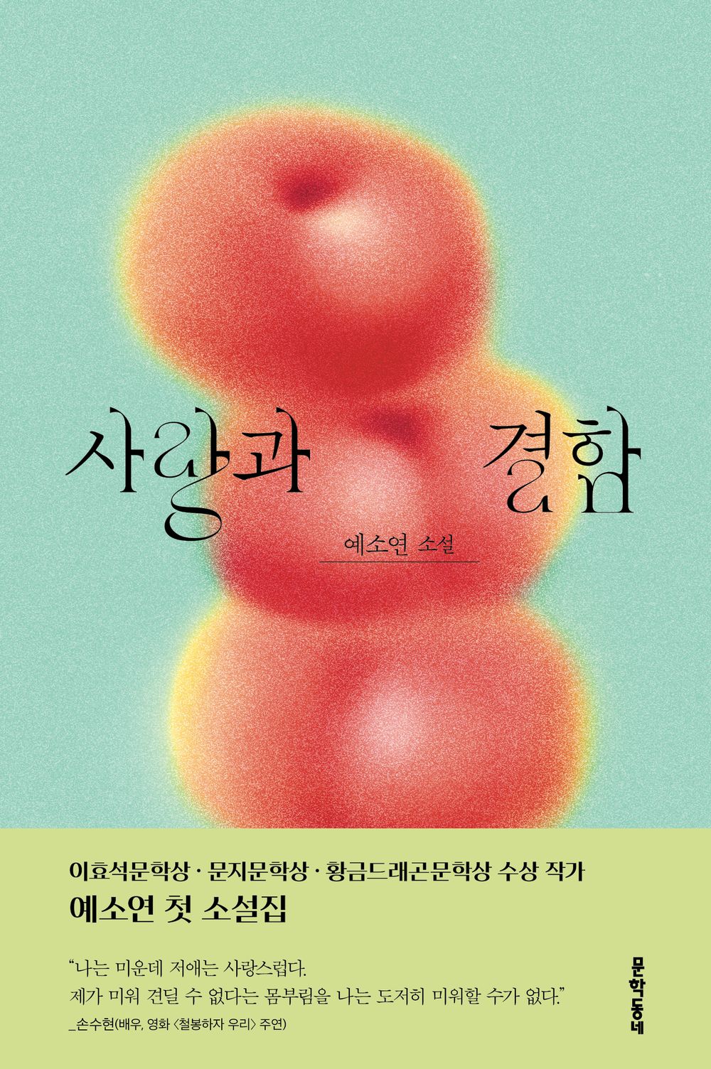 사랑과 결함 [Paperback] 예소연