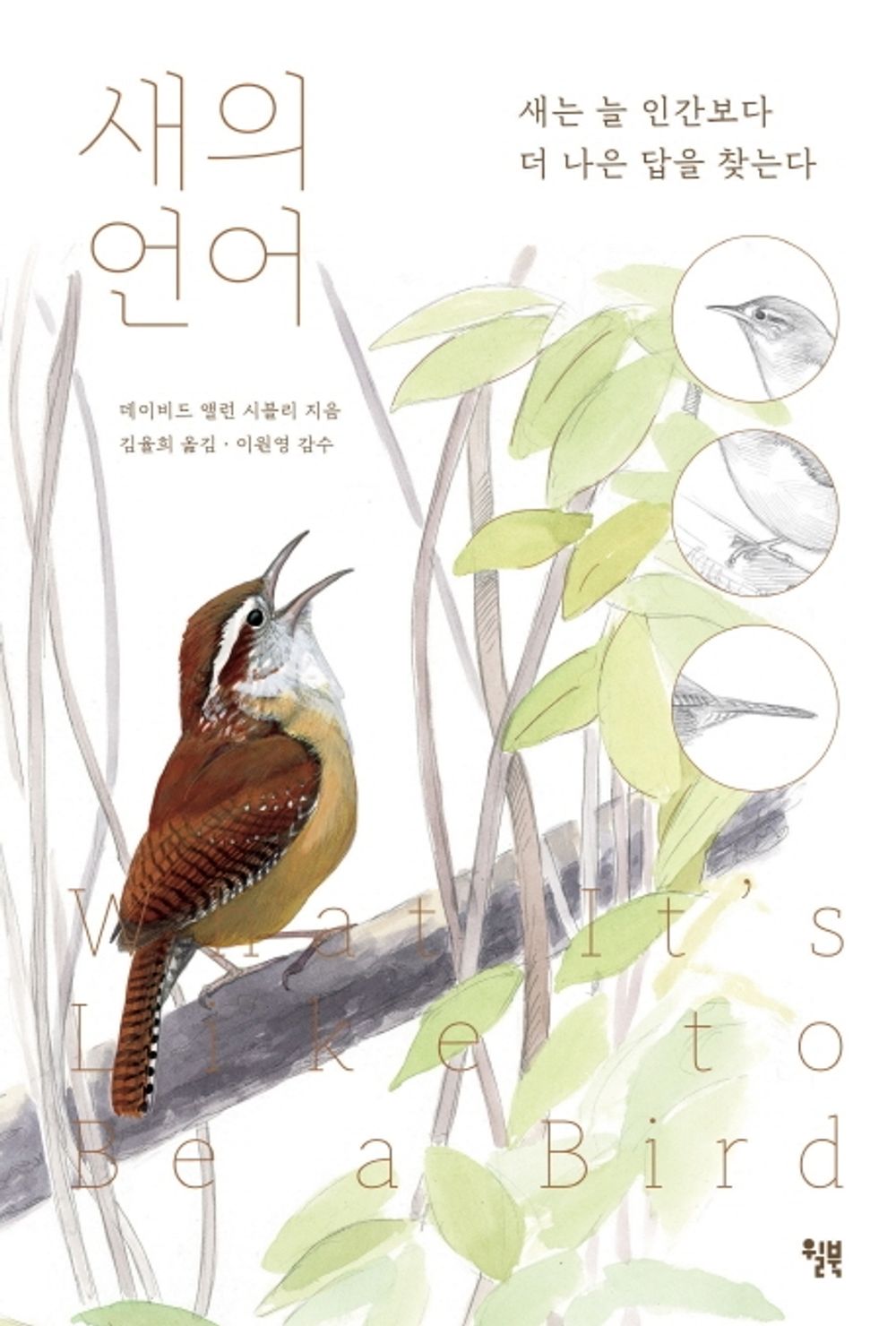 What It's Like to Be a Bird by David Allen Sibley Korean Book
From Flying to Nesting, Eating to Singing--What Birds Are Doing, and Why

새의 언어 : 새는 늘 인간보다 더 나은 답을 찾는다