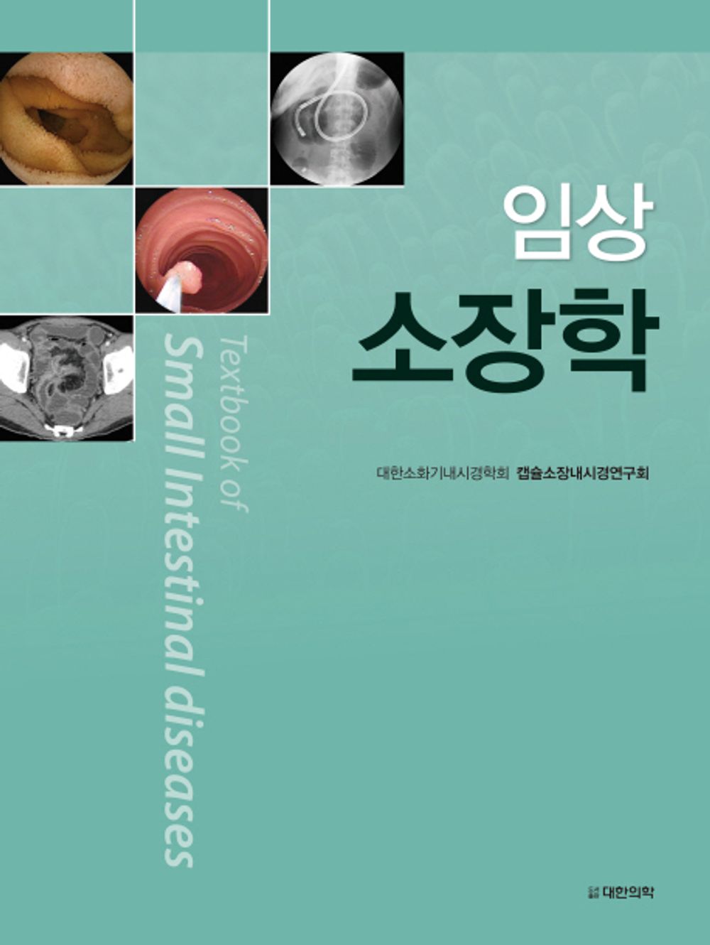 Textbook of Small Intestinal Diseases (Korean Edition) [Paperback] Korean Society of Gastrointestinal Endoscopy