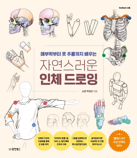 Natural Human Body Drawing Learning (Korean)