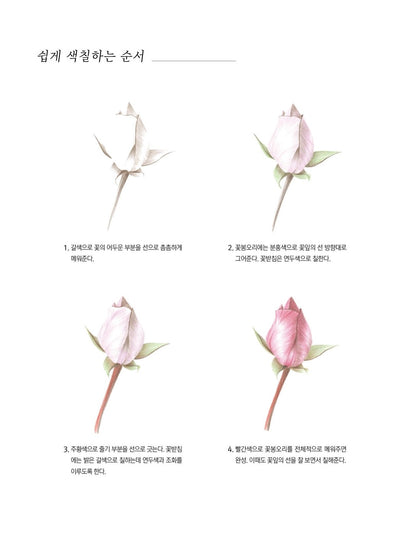 Rose Garden - Korean Botanical Art Coloring Book