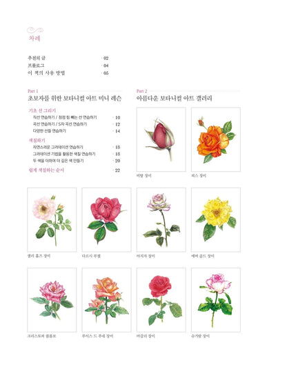 Rose Garden - Korean Botanical Art Coloring Book