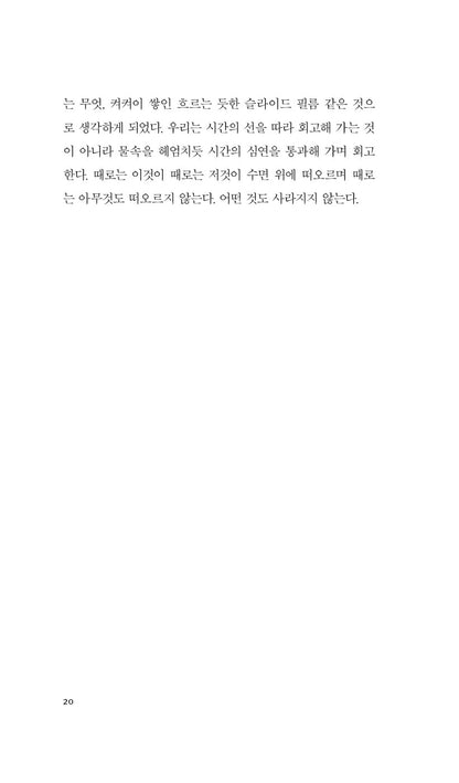 Cat's Eye Novel by Margaret Atwood, Korean, 고양이 눈, 마거릿 애트우드