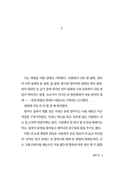 Bright night  Korean Novel by Choi Eun-Young