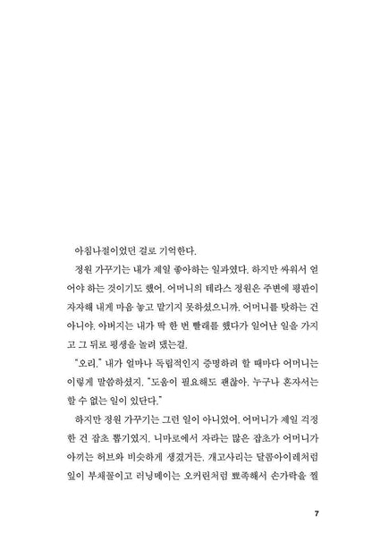 The Broken Kingdoms Novel by N. K. Jemisin (Korean)