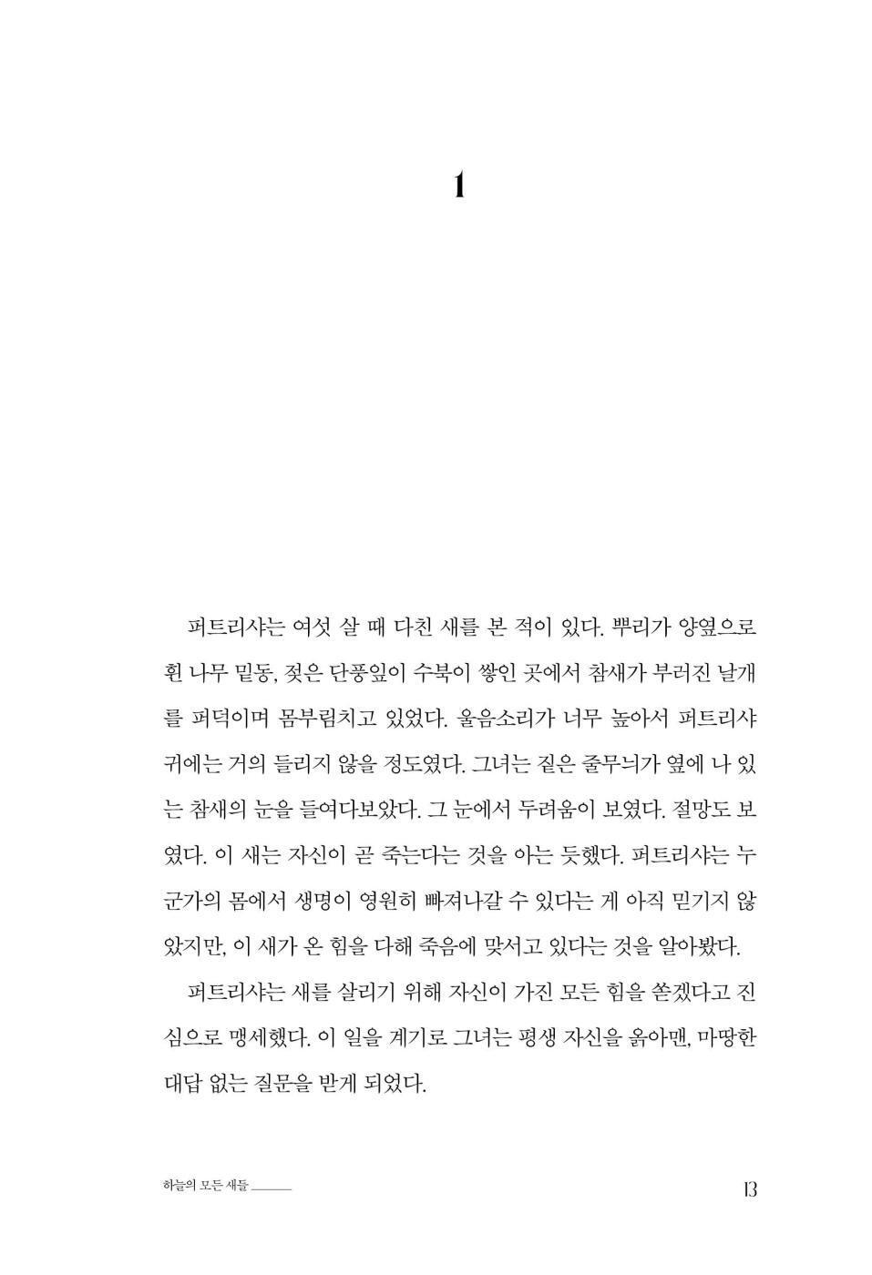 All the Birds in the Sky by Charlie Jane Anders, Korean, 하늘의 모든 새들, 찰리 제인 앤더스