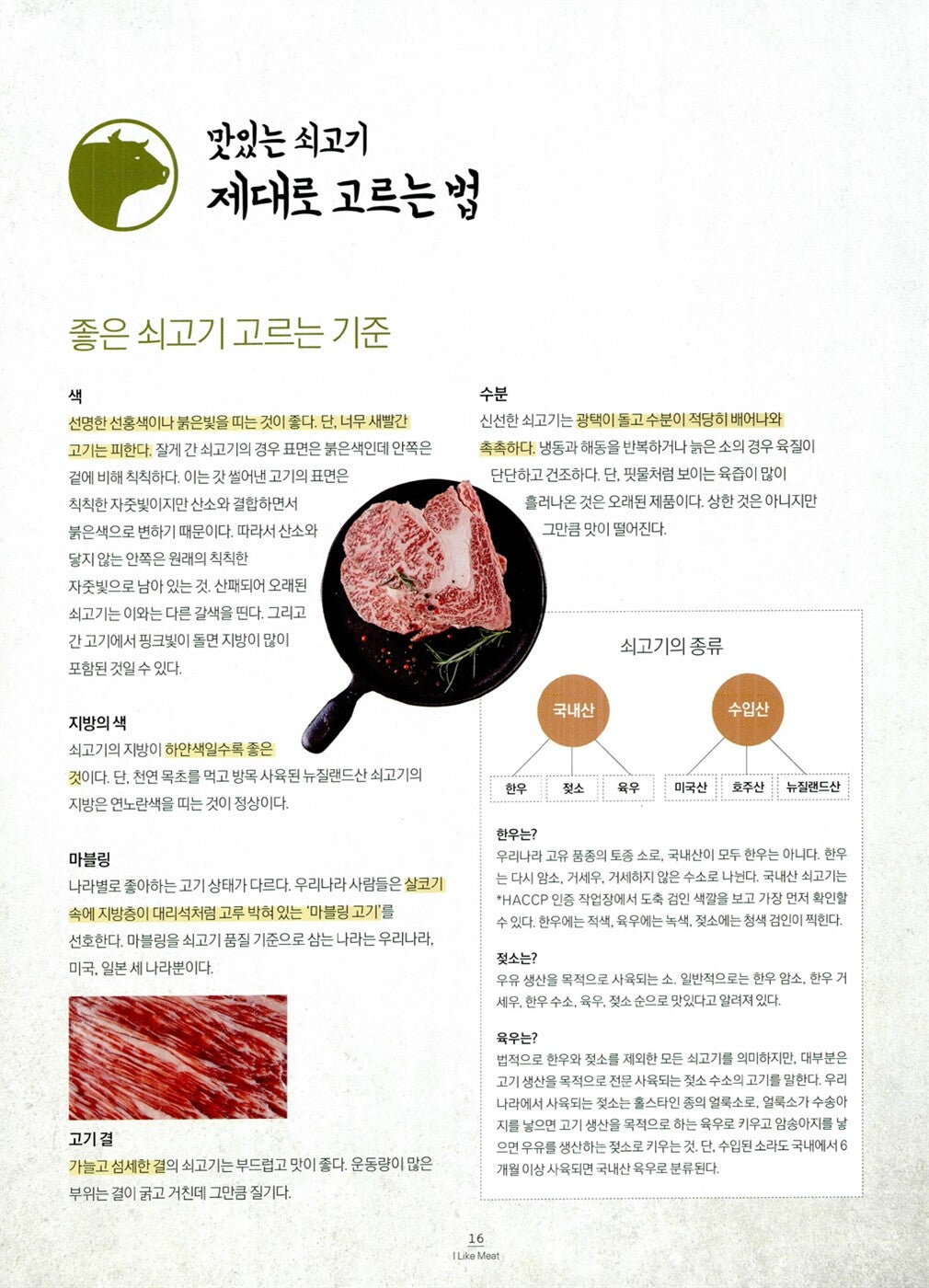 I Like Meat - From Grilled Korean Pork Belly to Beef Cooking