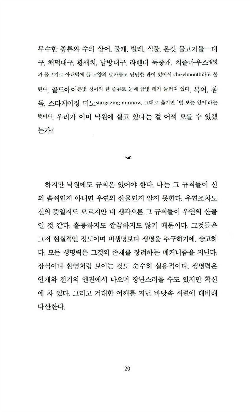 Long Life: Essays And Other Writings by Mary Oliver, Korean, 완벽한 날들, 메리 올리버