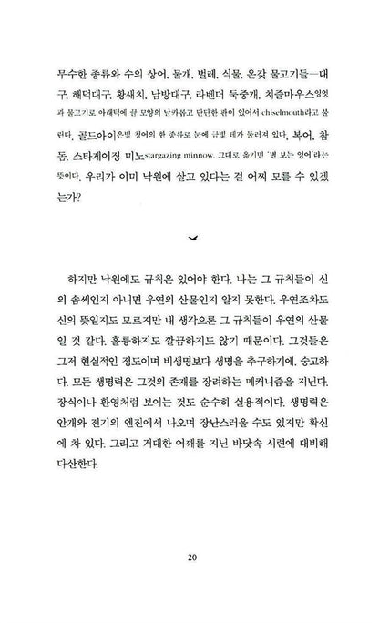Long Life: Essays And Other Writings by Mary Oliver, Korean, 완벽한 날들, 메리 올리버