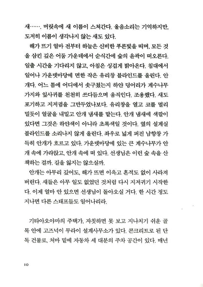 At the Base of the Volcano by Matsuie Masashi (Korean Book)