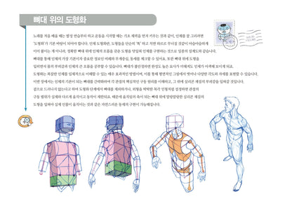 RockHe Kim's Anatomy Drawing Class Korean Edition (Marvel Illustrator)