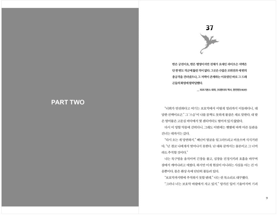 Iron Flame Part 2 Korean Details