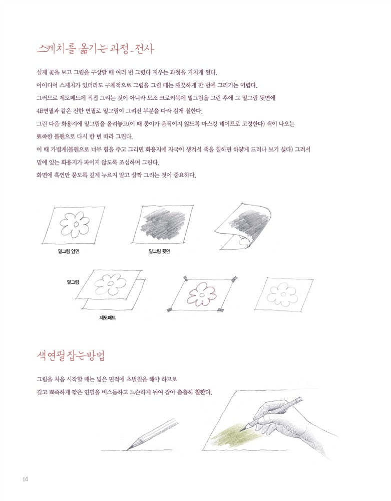 Botanical Art with Colored Pencils - Korean Drawing Guide