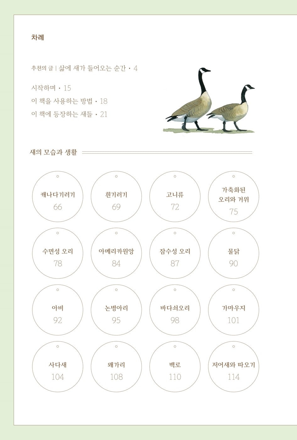 What It's Like to Be a Bird by David Allen Sibley Korean Book
From Flying to Nesting, Eating to Singing--What Birds Are Doing, and Why

새의 언어 : 새는 늘 인간보다 더 나은 답을 찾는다