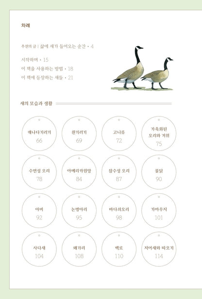 What It's Like to Be a Bird by David Allen Sibley Korean Book
From Flying to Nesting, Eating to Singing--What Birds Are Doing, and Why

새의 언어 : 새는 늘 인간보다 더 나은 답을 찾는다