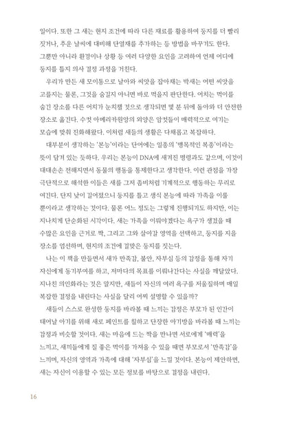 What It's Like to Be a Bird by David Allen Sibley Korean Book